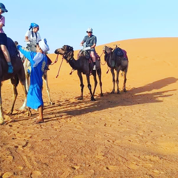 Camel Trek
